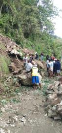 Bencana tanah longsor pohon tumbang